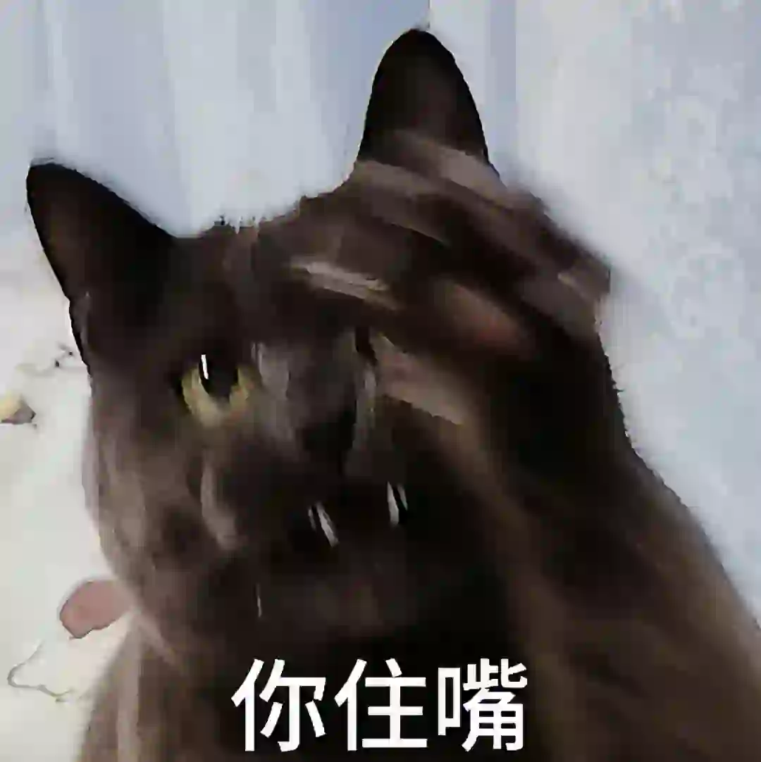 调皮小猫表情包合集