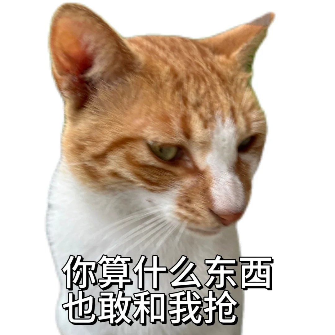 丑 没牙 没猫德的小猫专属表情包已上线