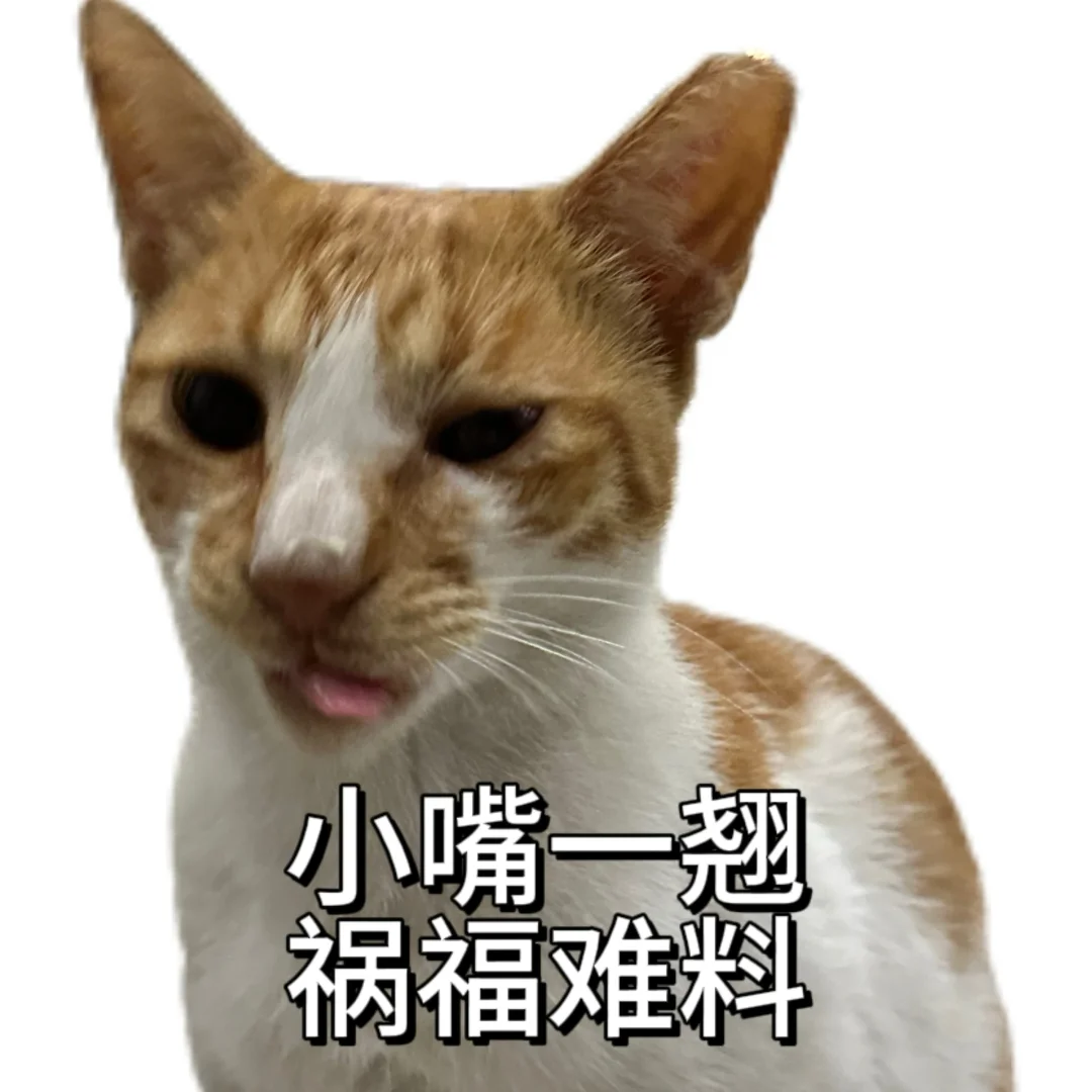 丑 没牙 没猫德的小猫专属表情包已上线