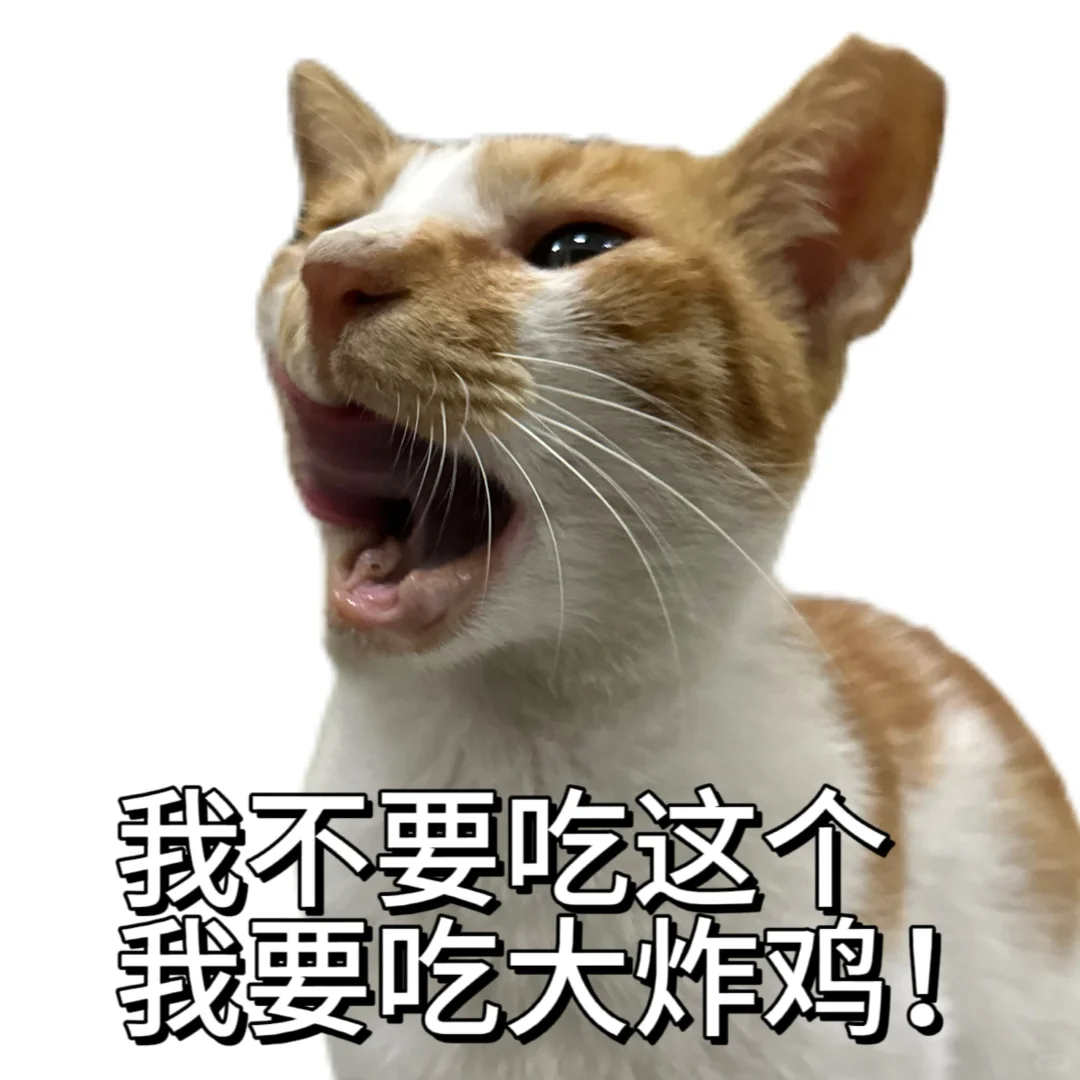 丑 没牙 没猫德的小猫专属表情包已上线