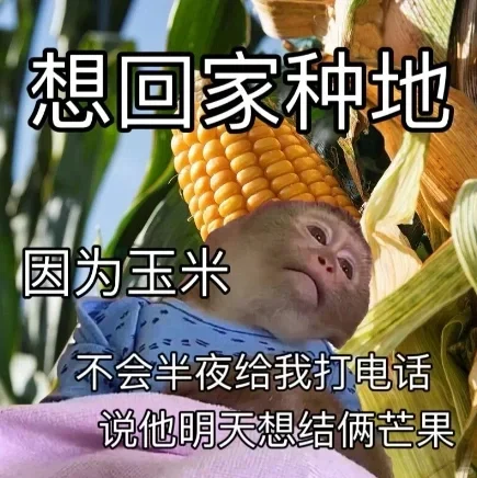 收集一些让领导失去沟通欲望的表情包