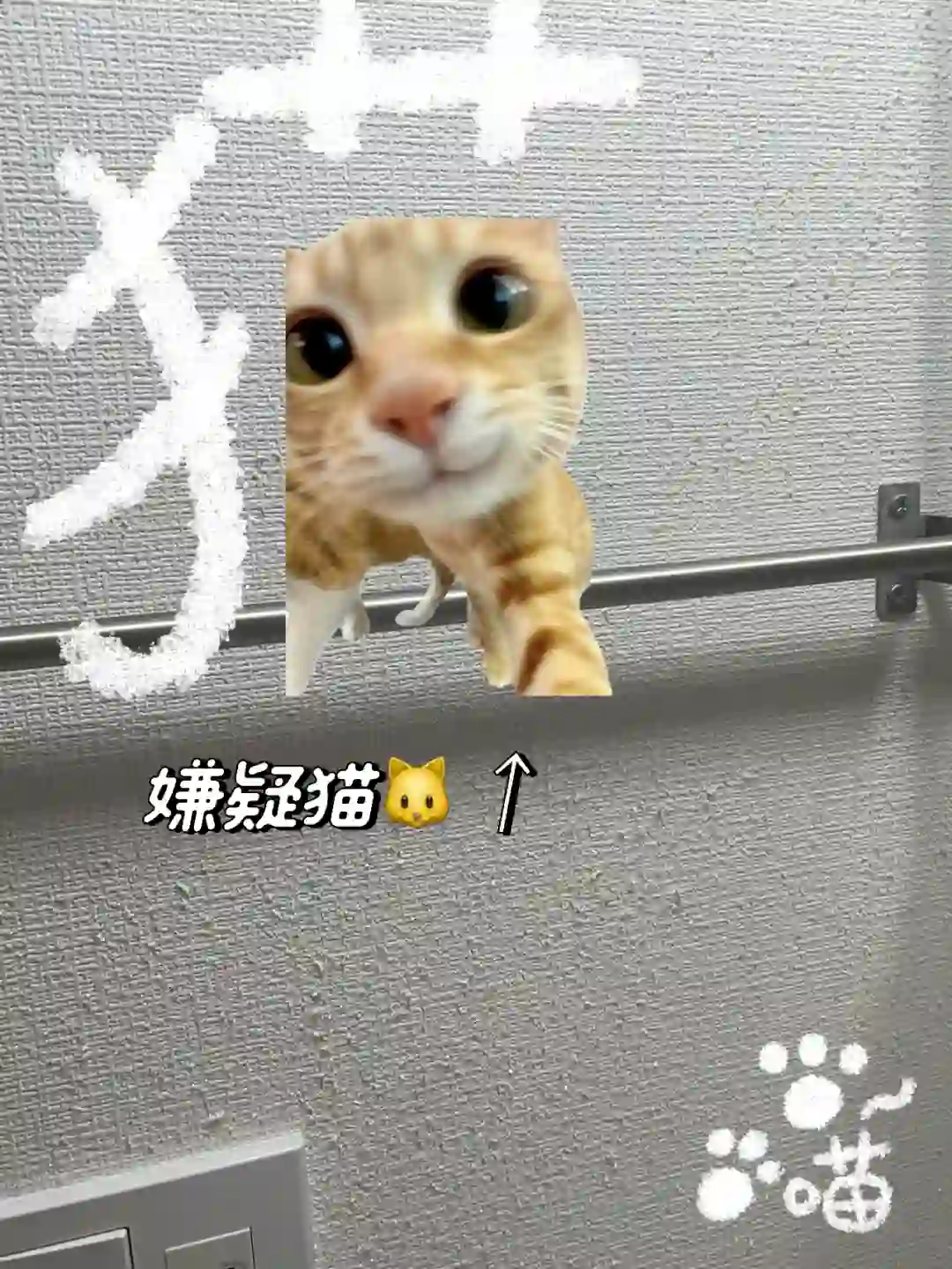 壁纸被抓成猫抓板赔多少？