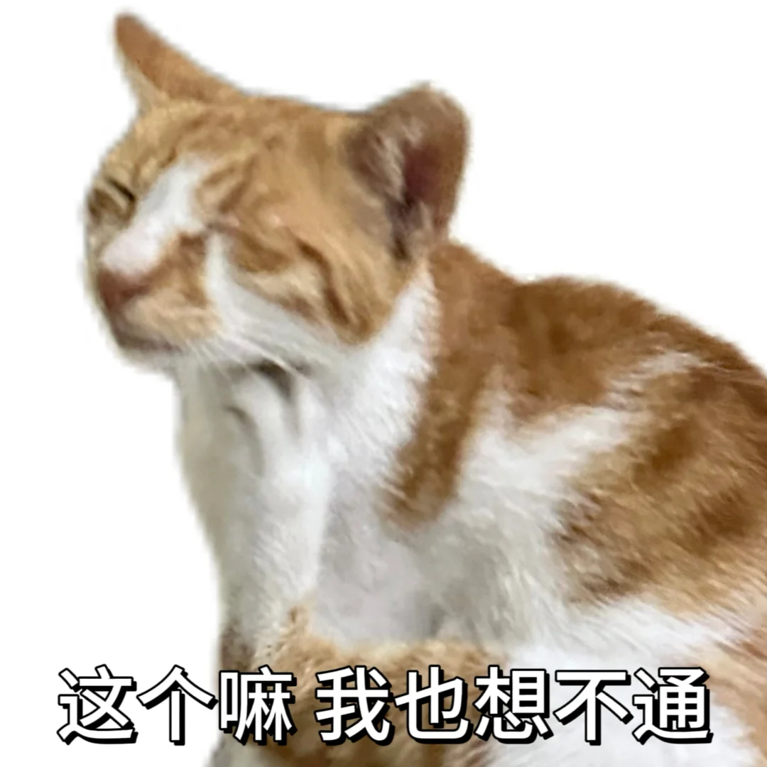 丑 没牙 没猫德的小猫专属表情包已上线