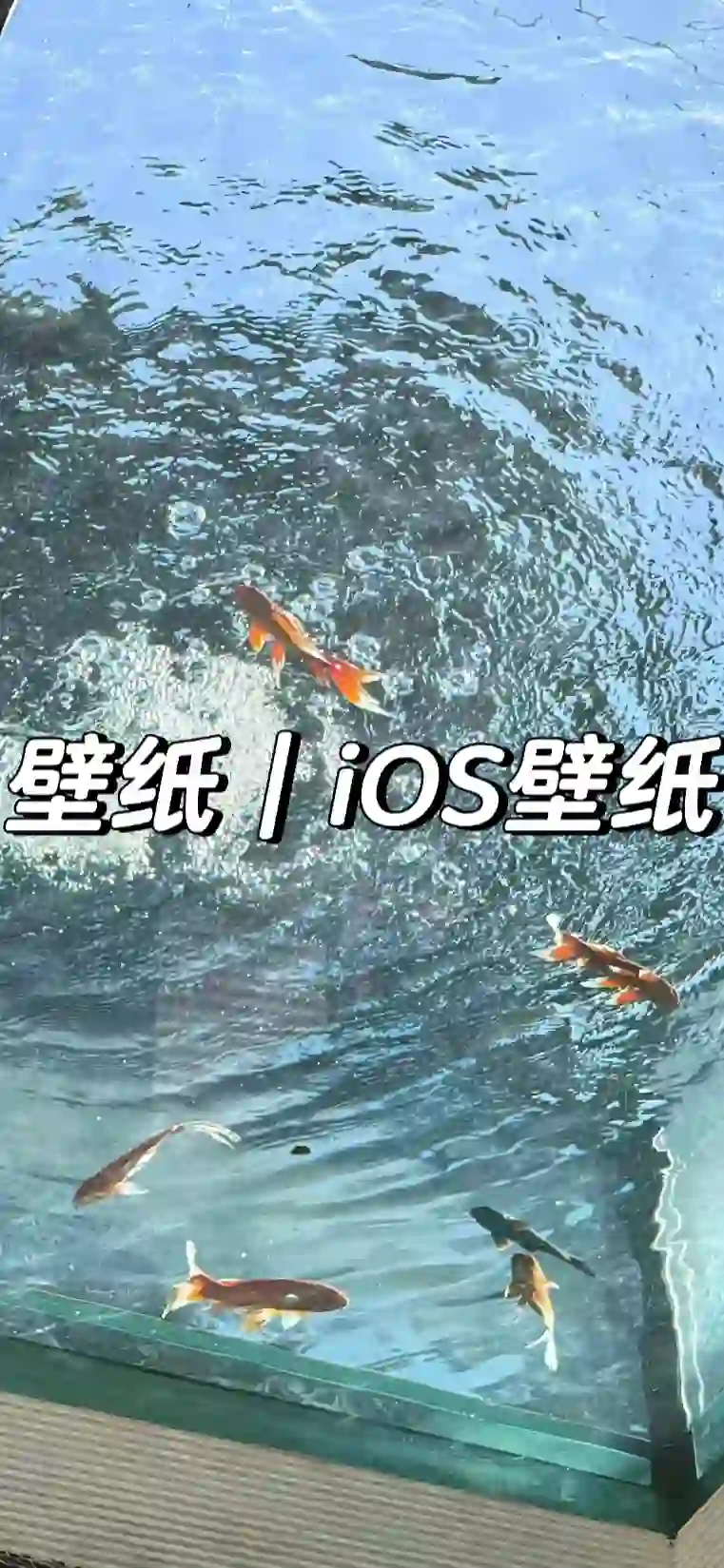 壁紙｜iOS 壁紙