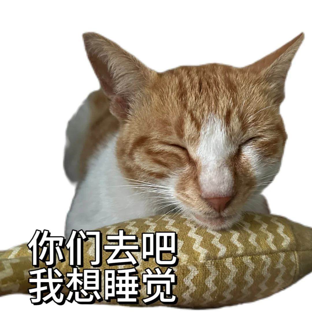 丑 没牙 没猫德的小猫专属表情包已上线