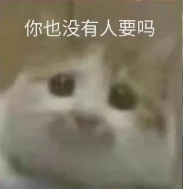 元气满满的猫咪表情包！！！