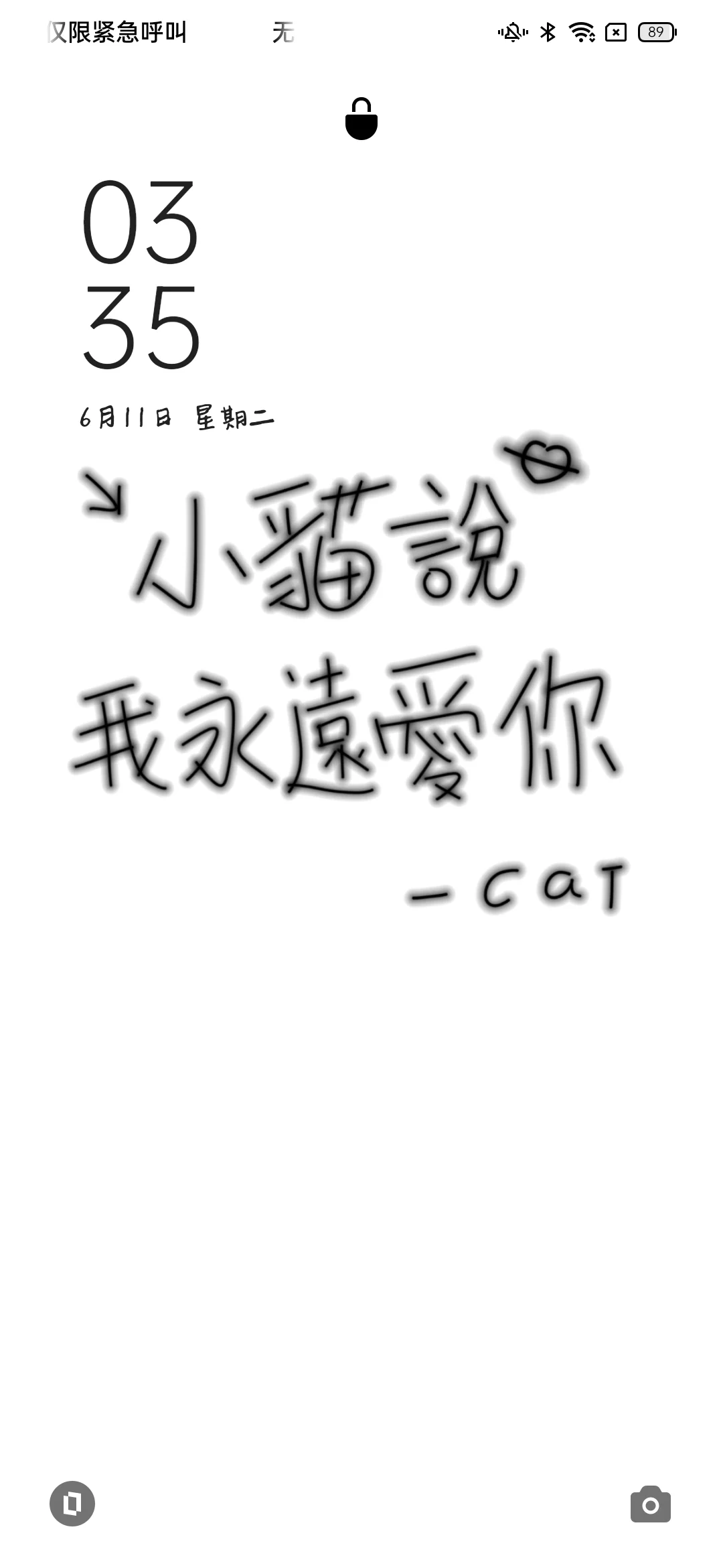 做了两个小猫说壁纸