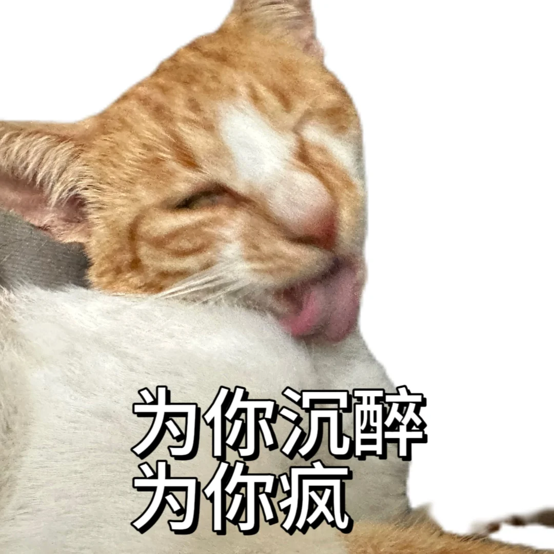 丑 没牙 没猫德的小猫专属表情包已上线