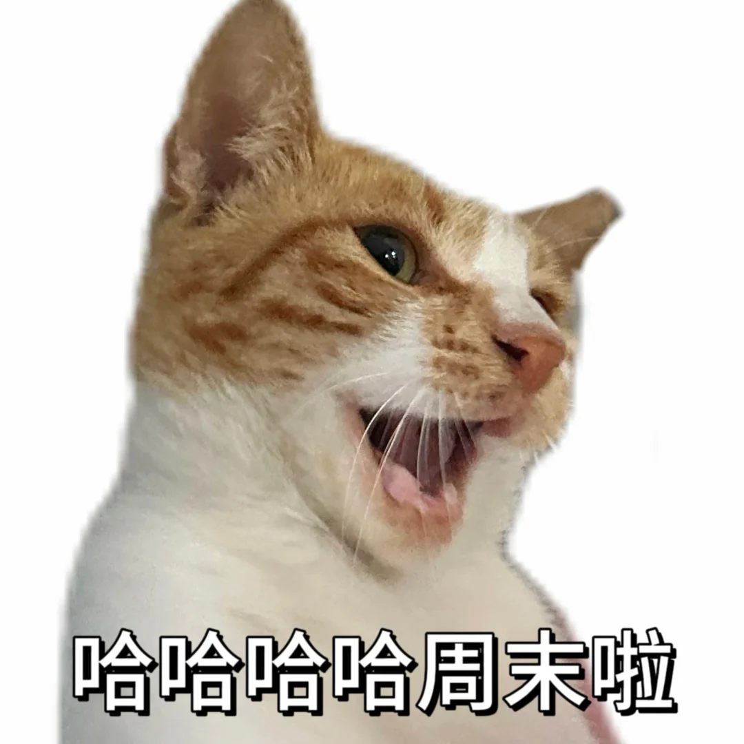 丑 没牙 没猫德的小猫专属表情包已上线