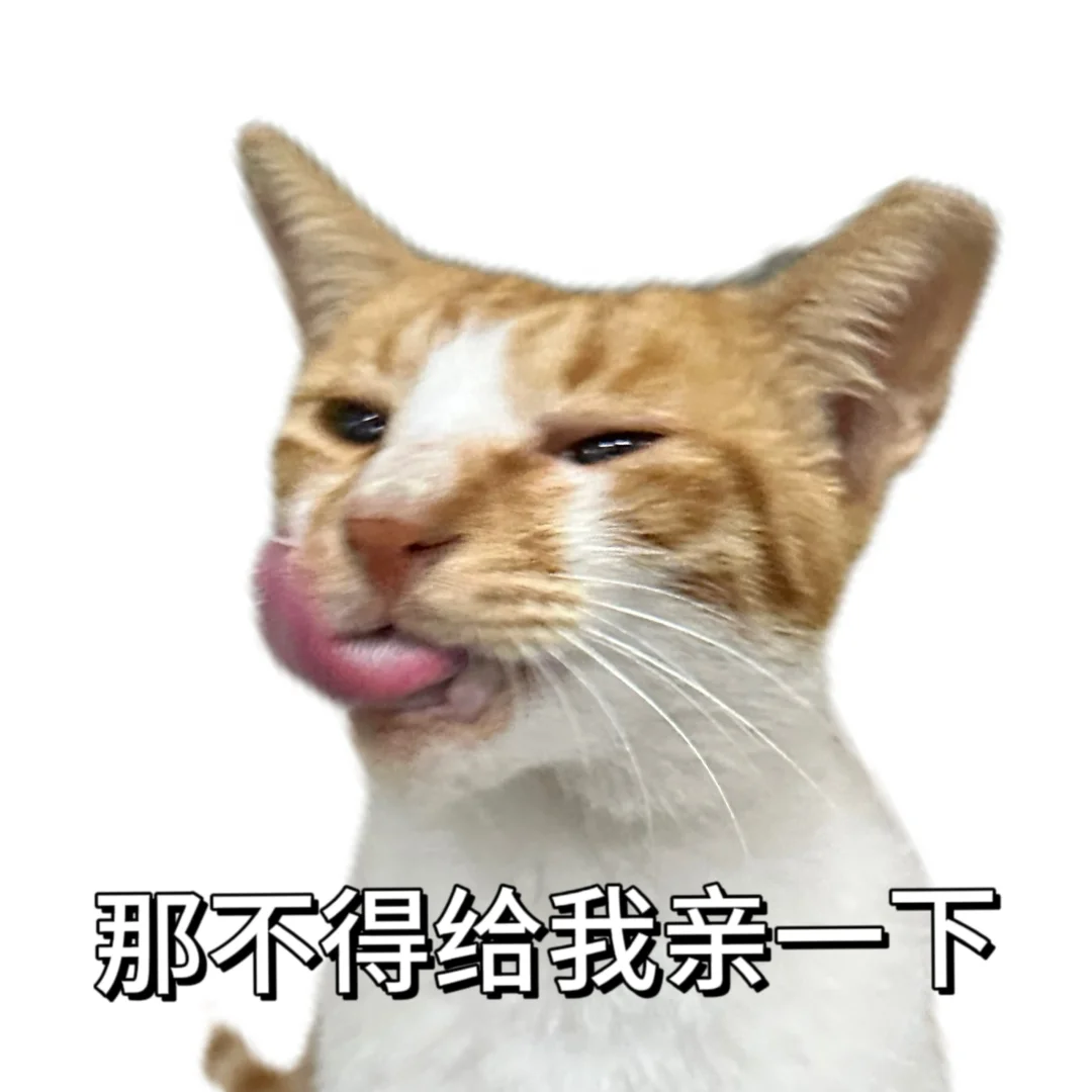 丑 没牙 没猫德的小猫专属表情包已上线