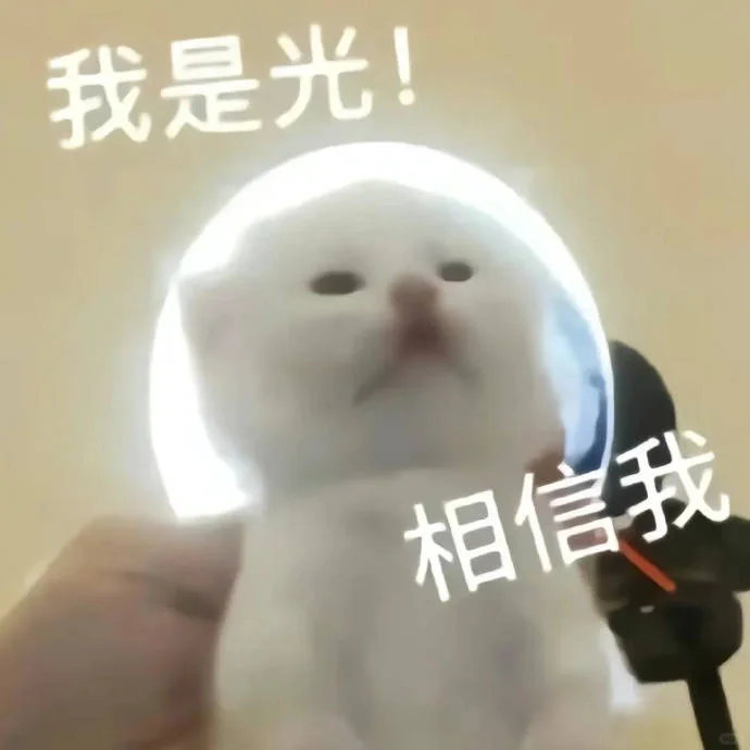 (ɔˆз(=^･ｪ･^=c)丨猫猫表情包