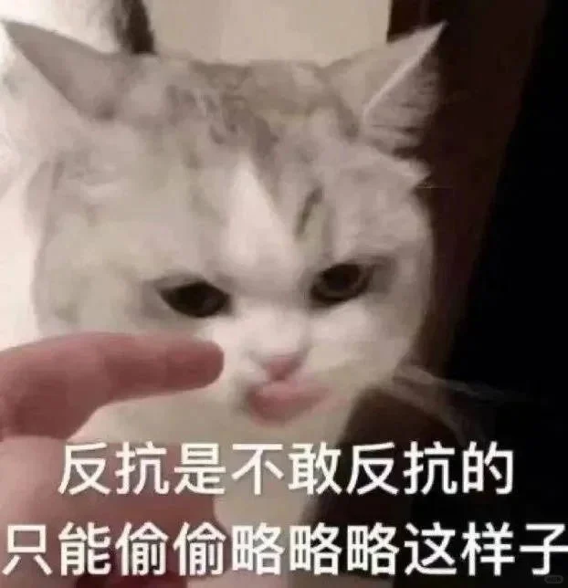 (ɔˆз(=^･ｪ･^=c)丨猫猫表情包