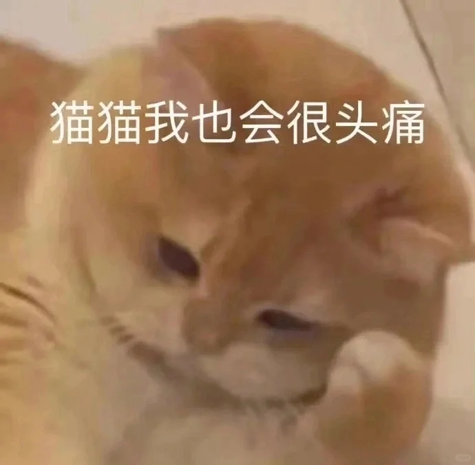 (ɔˆз(=^･ｪ･^=c)丨猫猫表情包