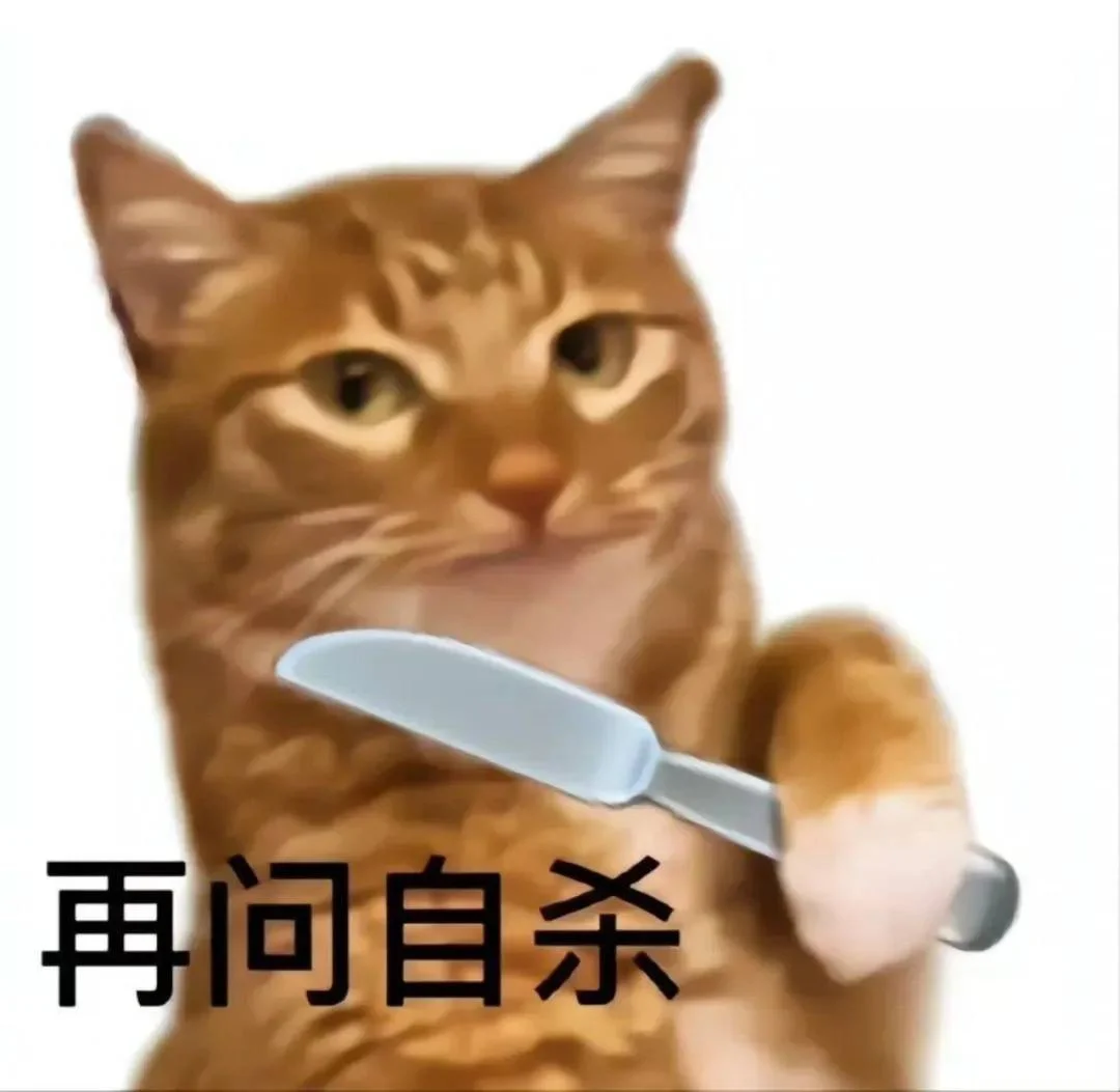 (ɔˆз(=^･ｪ･^=c)丨猫猫表情包