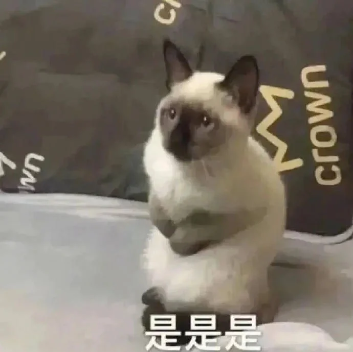 (ɔˆз(=^･ｪ･^=c)丨猫猫表情包