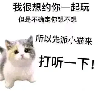 (ɔˆз(=^･ｪ･^=c)丨猫猫表情包