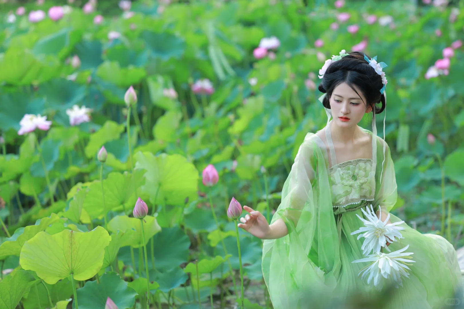 夏日炎炎，荷叶圆圆 重庆汉服写真