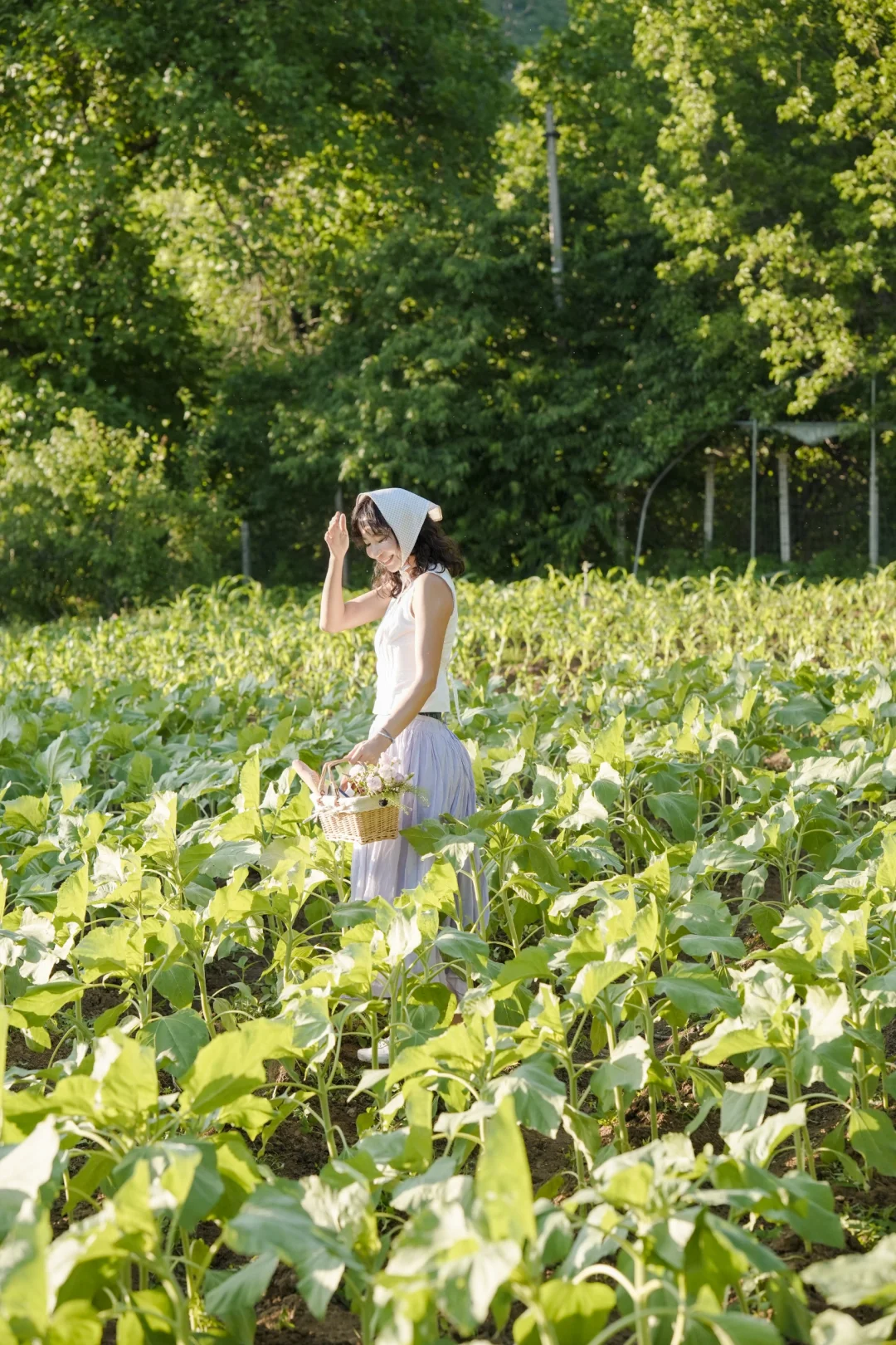 如何在杂乱不出片的场景拍氛围感生命力大片