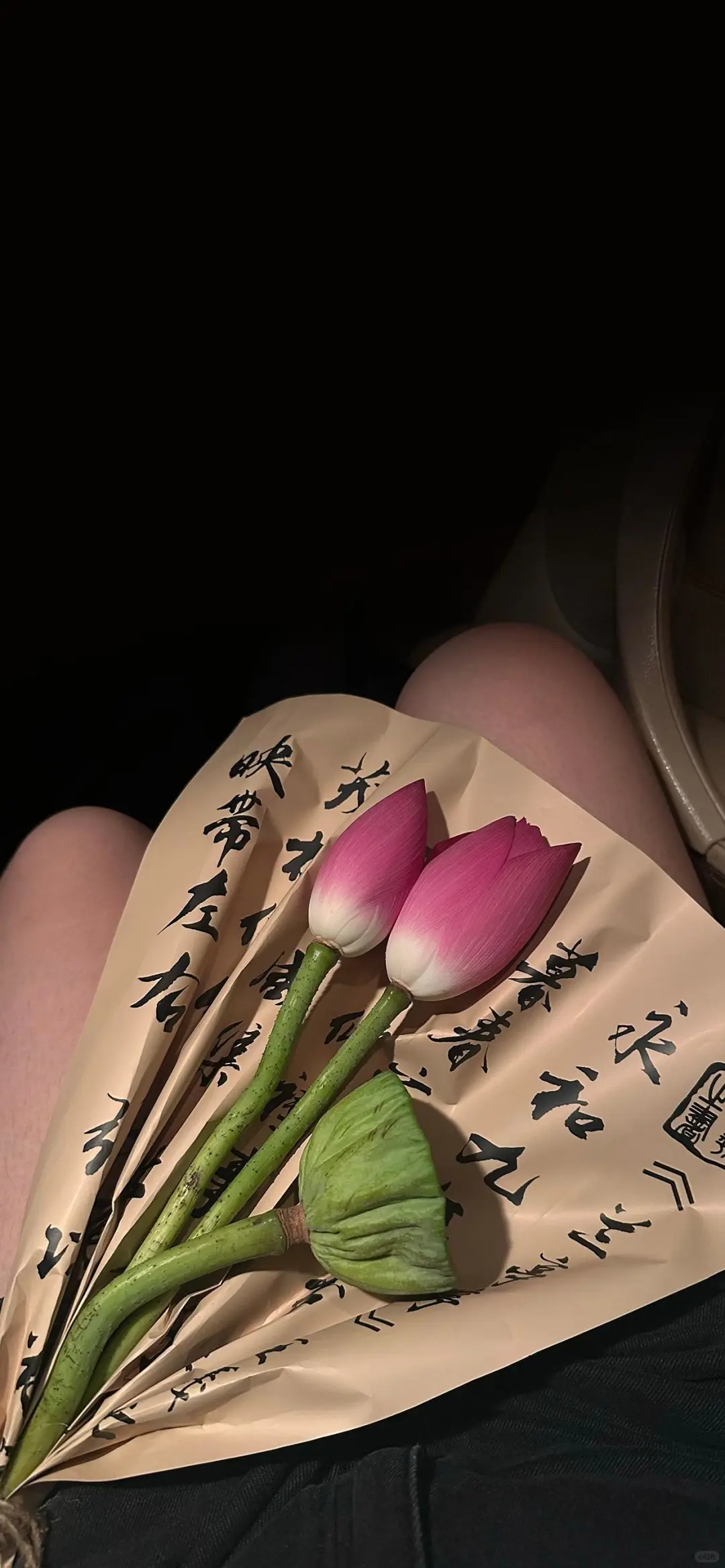 Lucky | 荷花?壁纸～今日分享