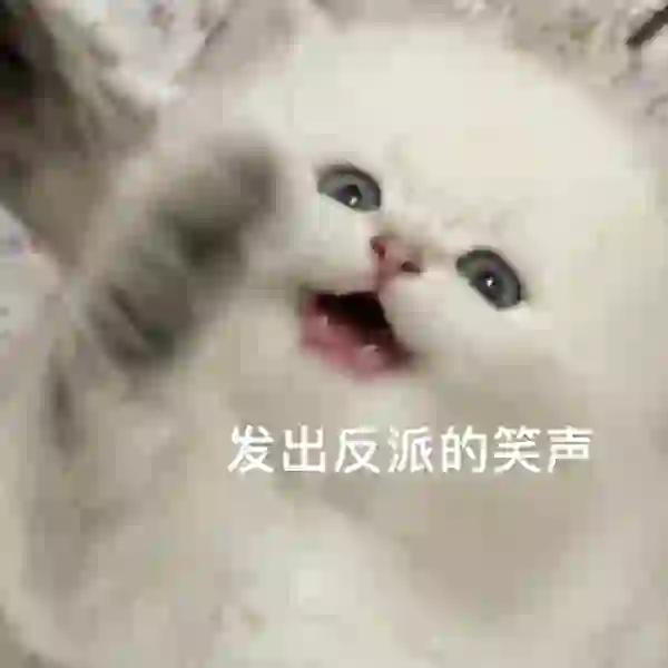 猫猫表情包来咯