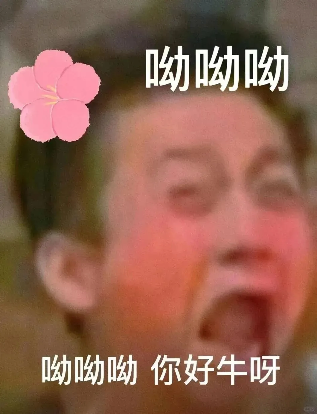 这表情包你得收着啊