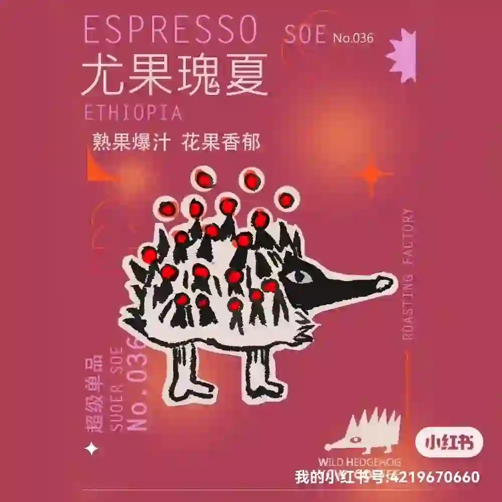 墙裂推荐 ：两款新☕️咖啡豆