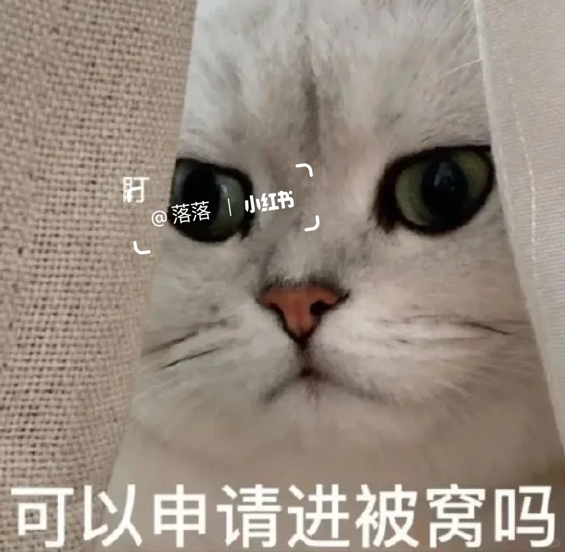 表情包Ⅰ调戏对象的可爱猫咪表情包