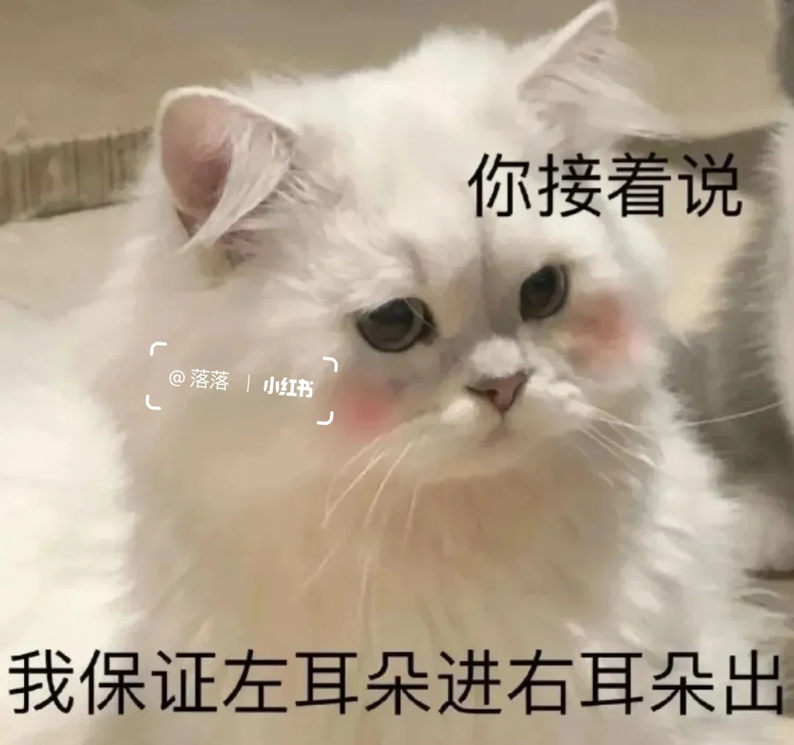 表情包Ⅰ调戏对象的可爱猫咪表情包