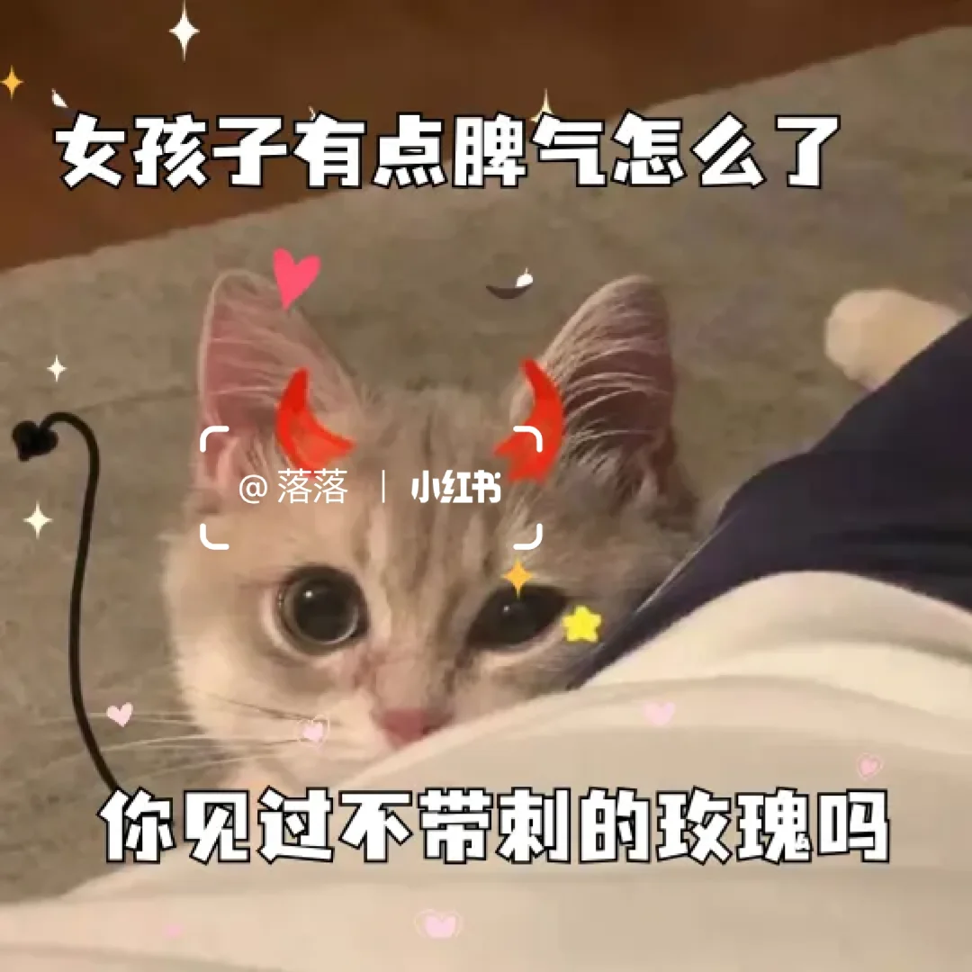 表情包Ⅰ调戏对象的可爱猫咪表情包