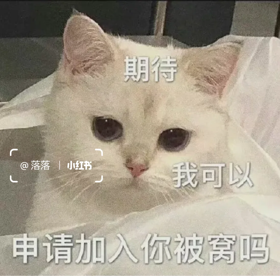 表情包Ⅰ调戏对象的可爱猫咪表情包