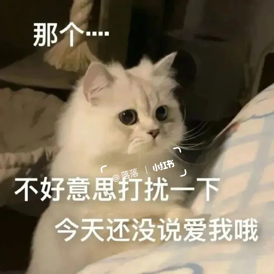 表情包Ⅰ调戏对象的可爱猫咪表情包