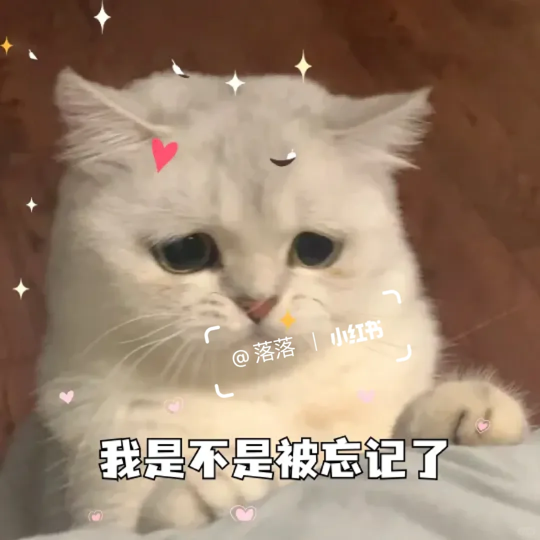 表情包Ⅰ调戏对象的可爱猫咪表情包