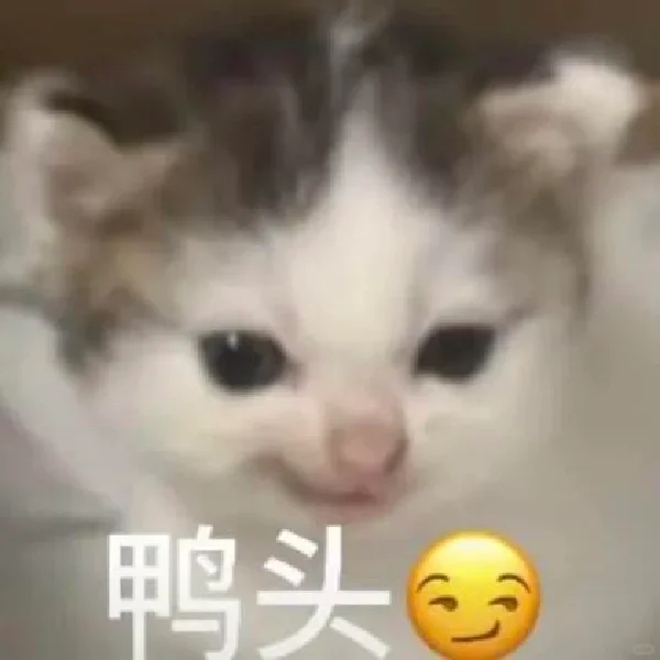 WeChat表情包｜邪恶小猫咪