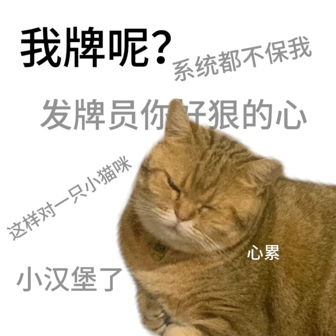 金铲铲之战表情包 沙雕猫表情包～