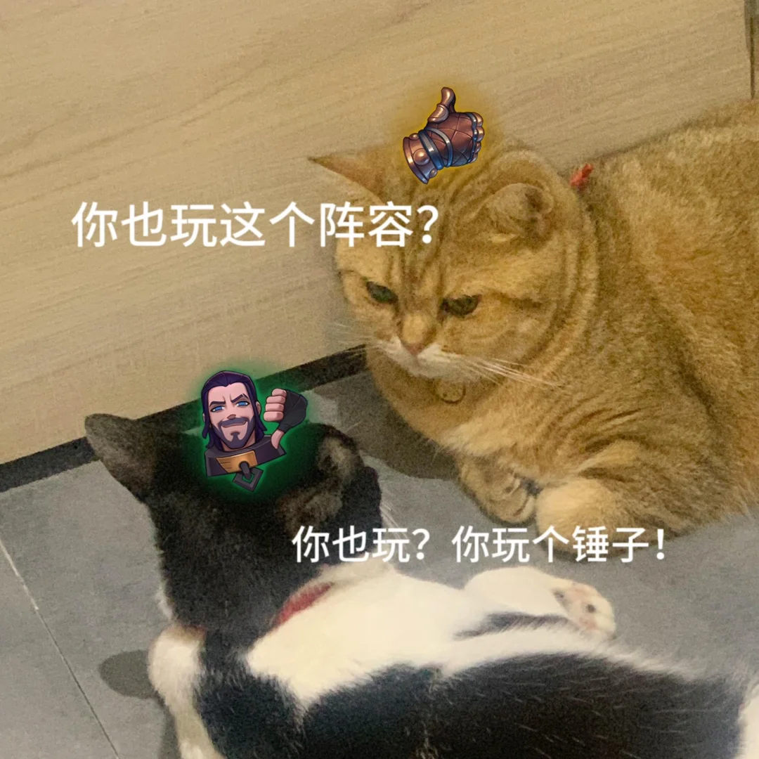 金铲铲之战表情包 沙雕猫表情包～