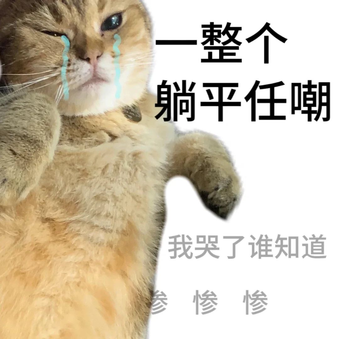 金铲铲之战表情包 沙雕猫表情包～