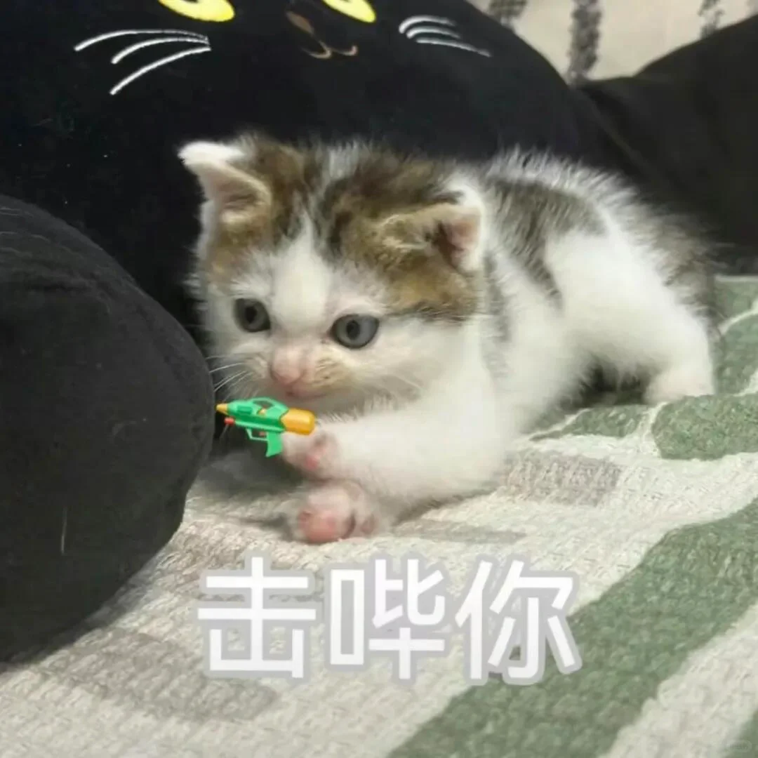 WeChat表情包｜邪恶小猫咪