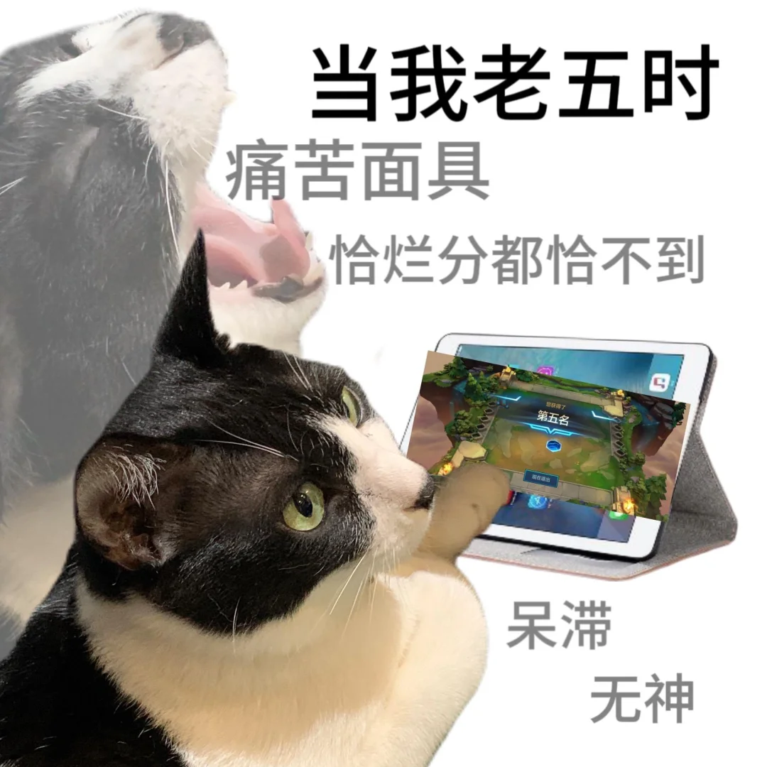 金铲铲之战表情包 沙雕猫表情包～