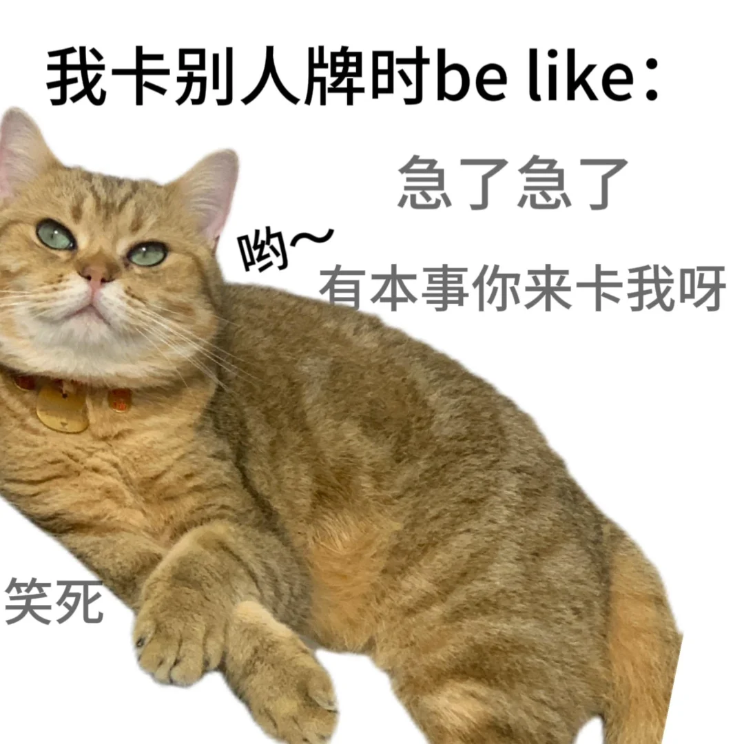 金铲铲之战表情包 沙雕猫表情包～