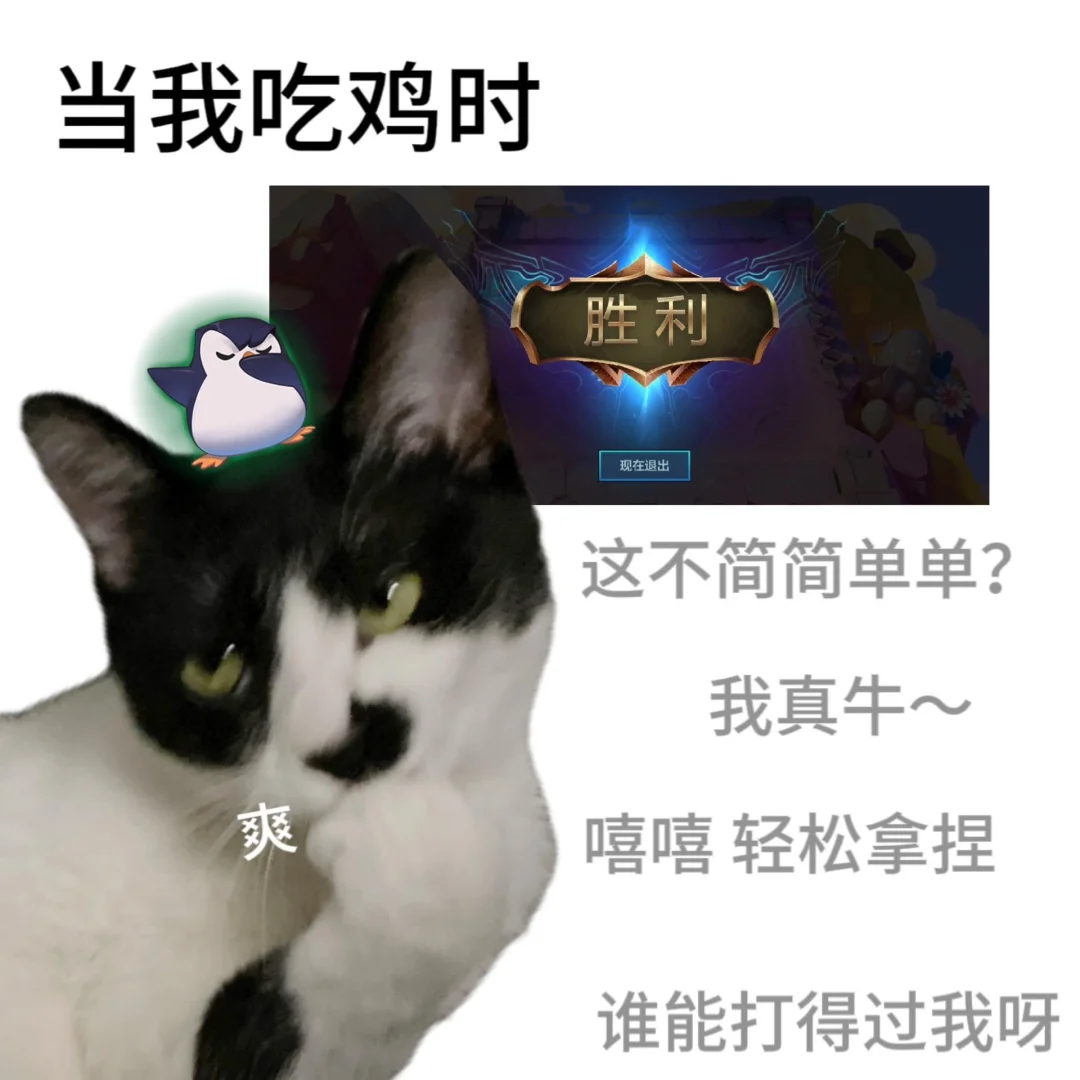 金铲铲之战表情包 沙雕猫表情包～