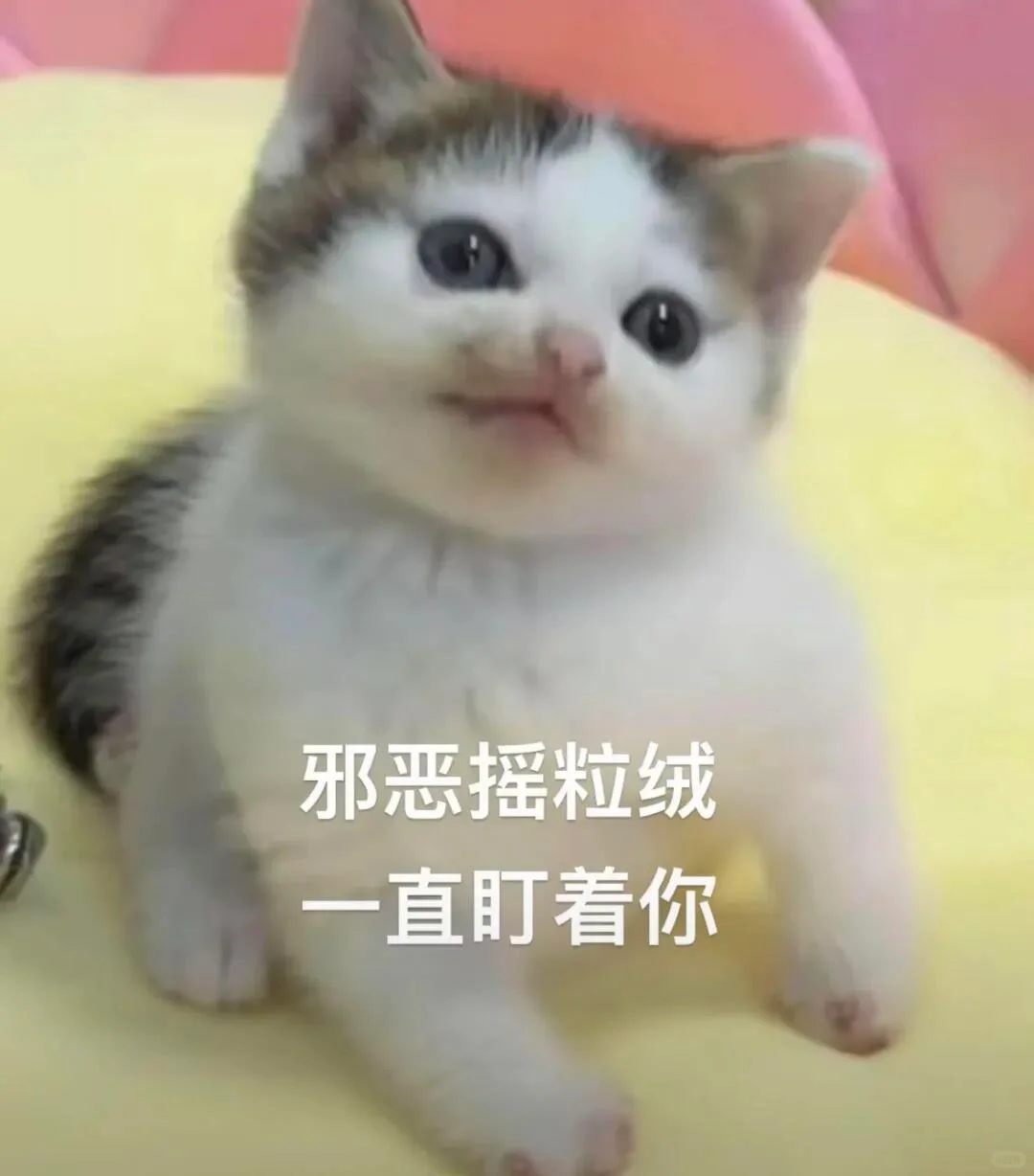 WeChat表情包｜邪恶小猫咪