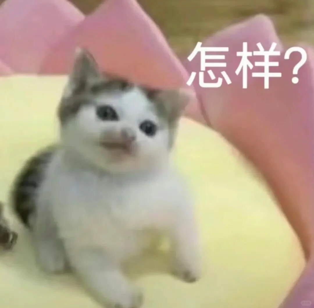 WeChat表情包｜邪恶小猫咪