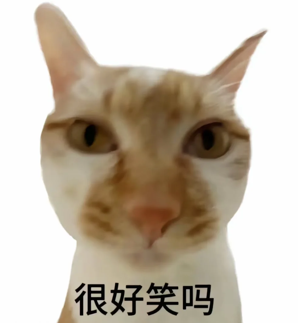 神经猫来了