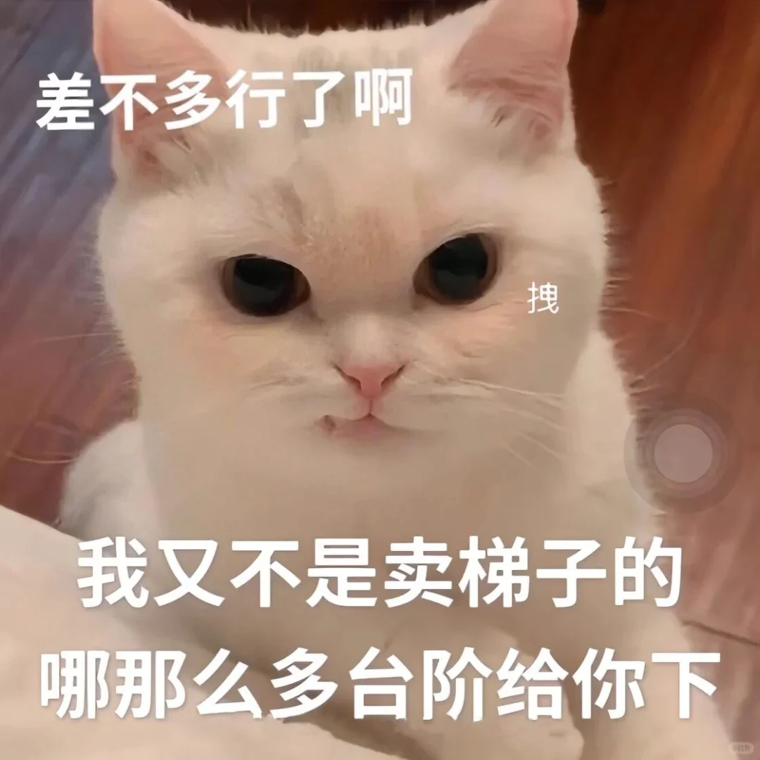 拿去发给对象的表情包