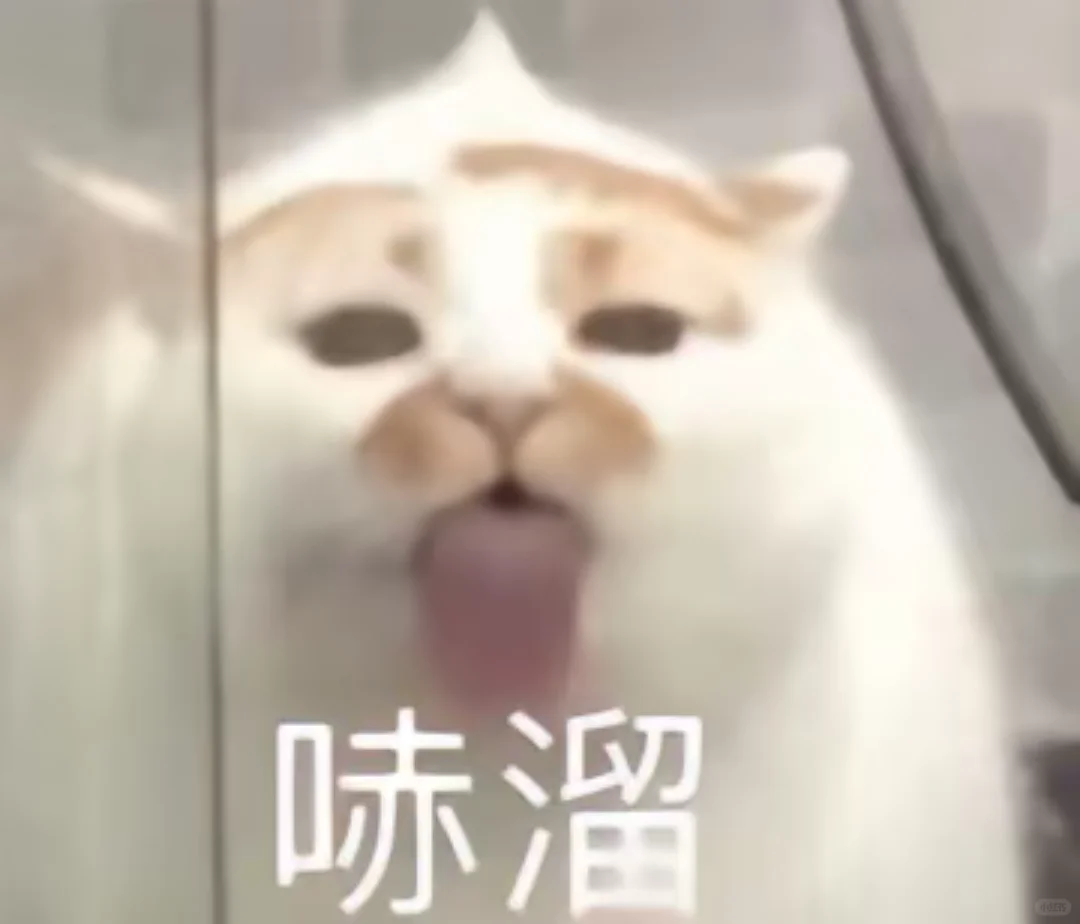 神经猫来了