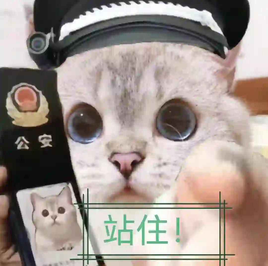 把你手里的猫猫表情包交出来！