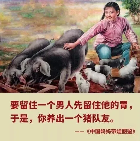 这组图真的绝了?