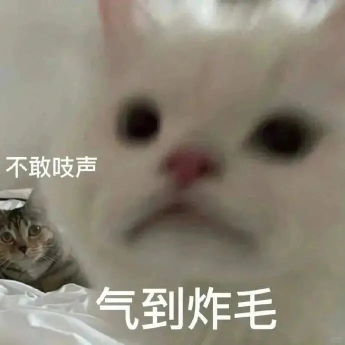 合法，但是有病‖猫咪表情包