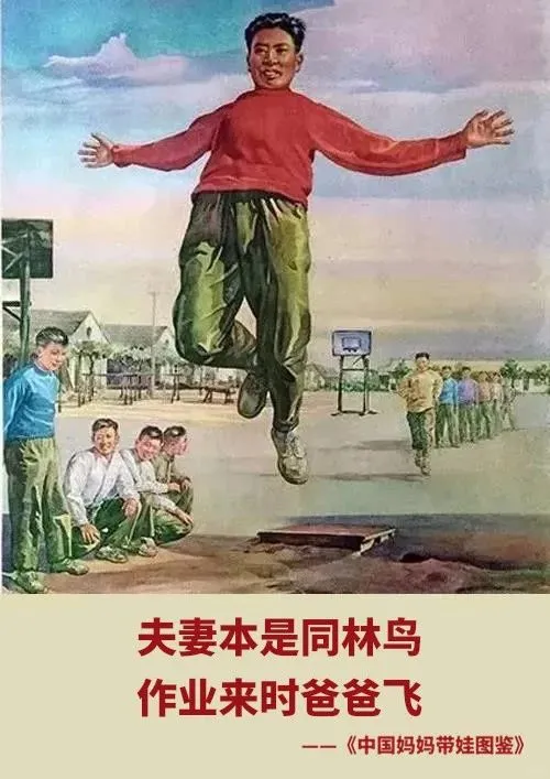 这组图真的绝了?