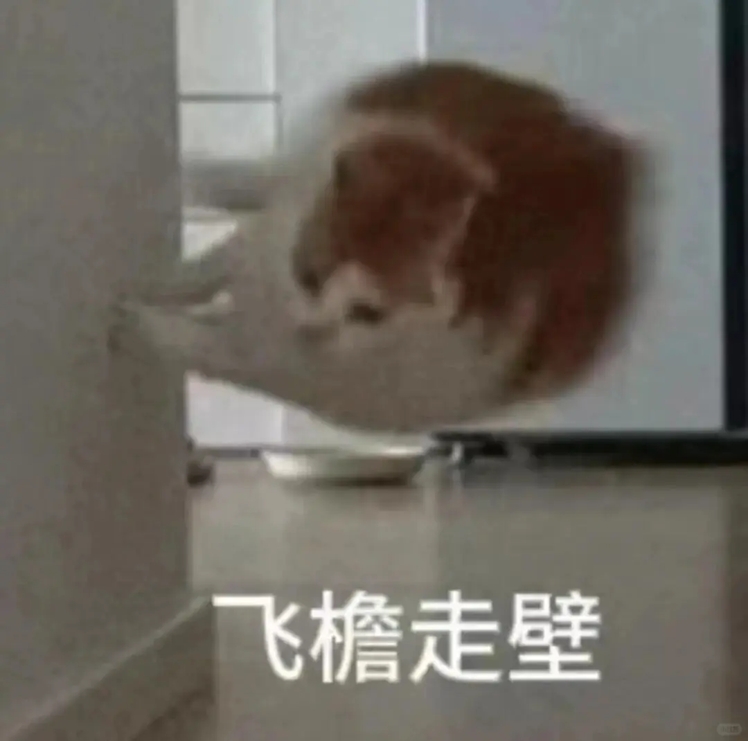 合法，但是有病‖猫咪表情包